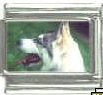 Dog charm - Siberian Husky 1